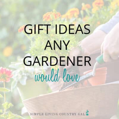 Gift ideas for the vegetable gardener