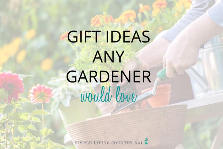 Gift Ideas for the Vegetable Gardener