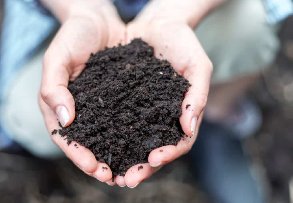 a pair of hands holding healthy garden soil