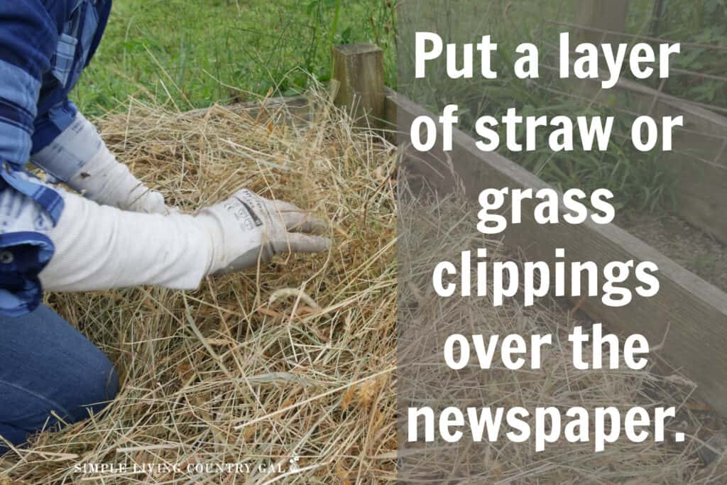 a set of hands mulching a garden bed with straw 