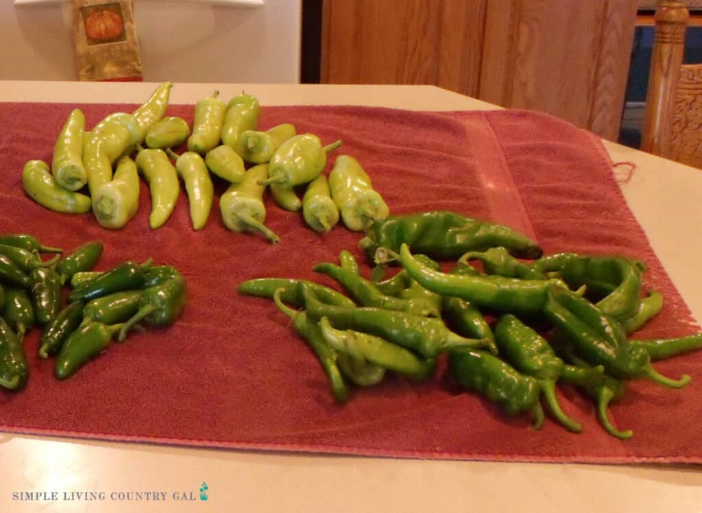 3 piles of peppers on a red towel in a kitchen