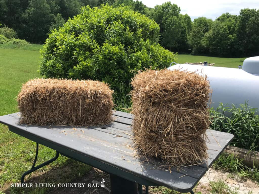 2 straw bales sitting on a table