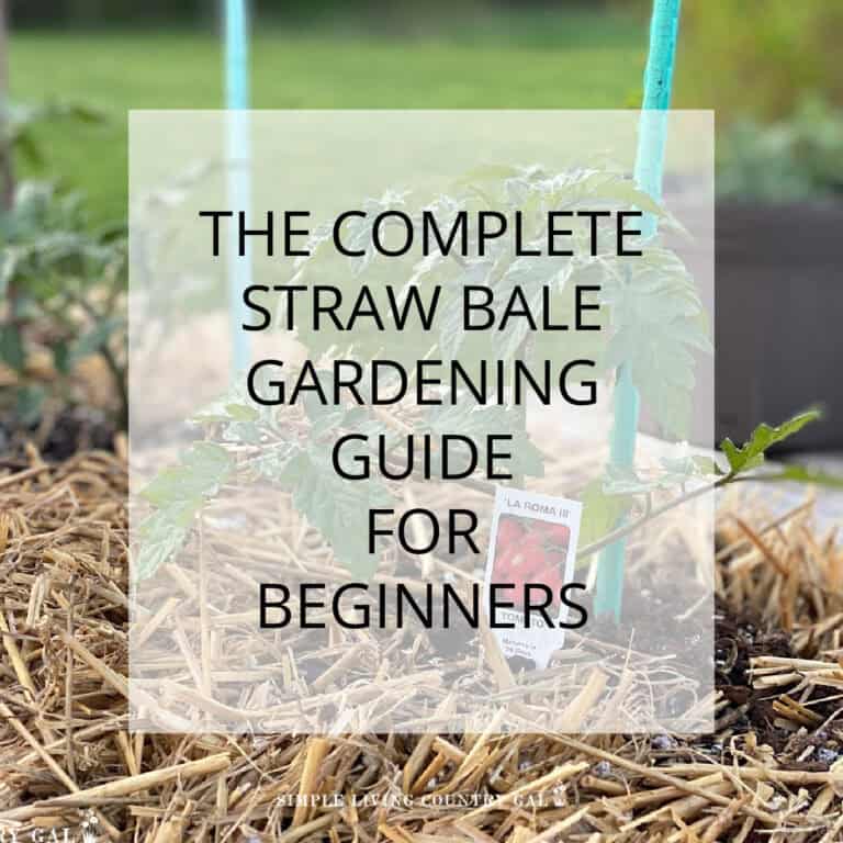 Straw Bale Gardening for Beginners