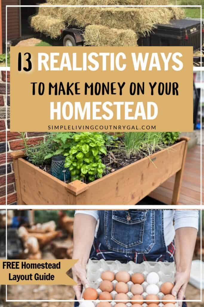 make Money On The Homestead