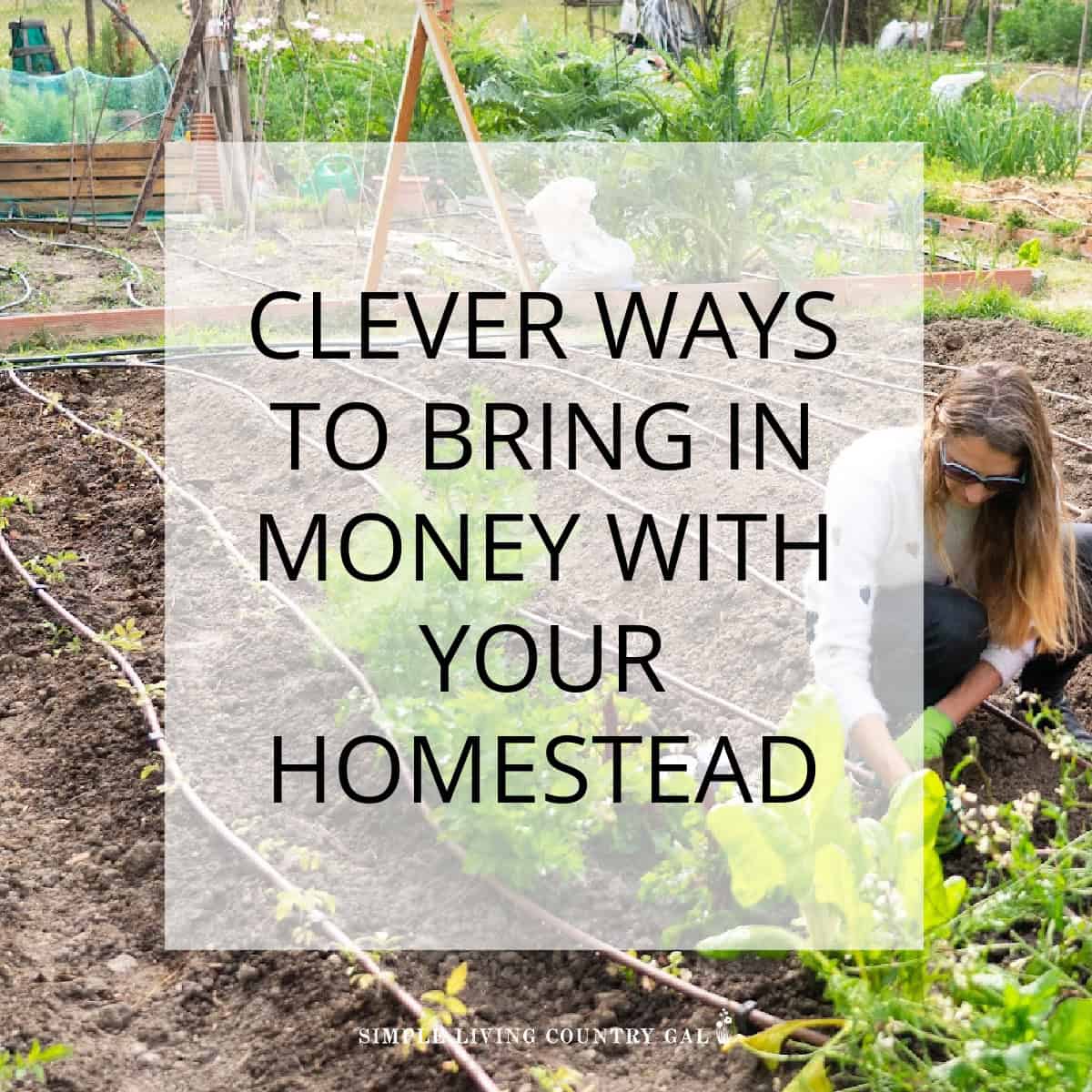 How To Make Money On A Homestead