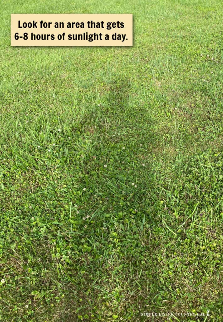 a woman's shadow on green grass 