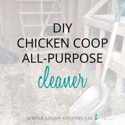 DIY Chicken Coop Cleaner
