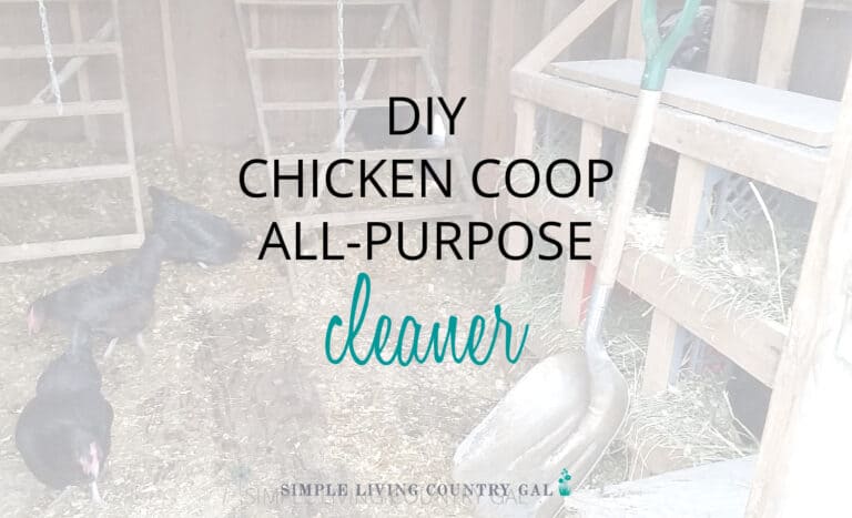 DIY Chicken Coop All Purpose Cleaner