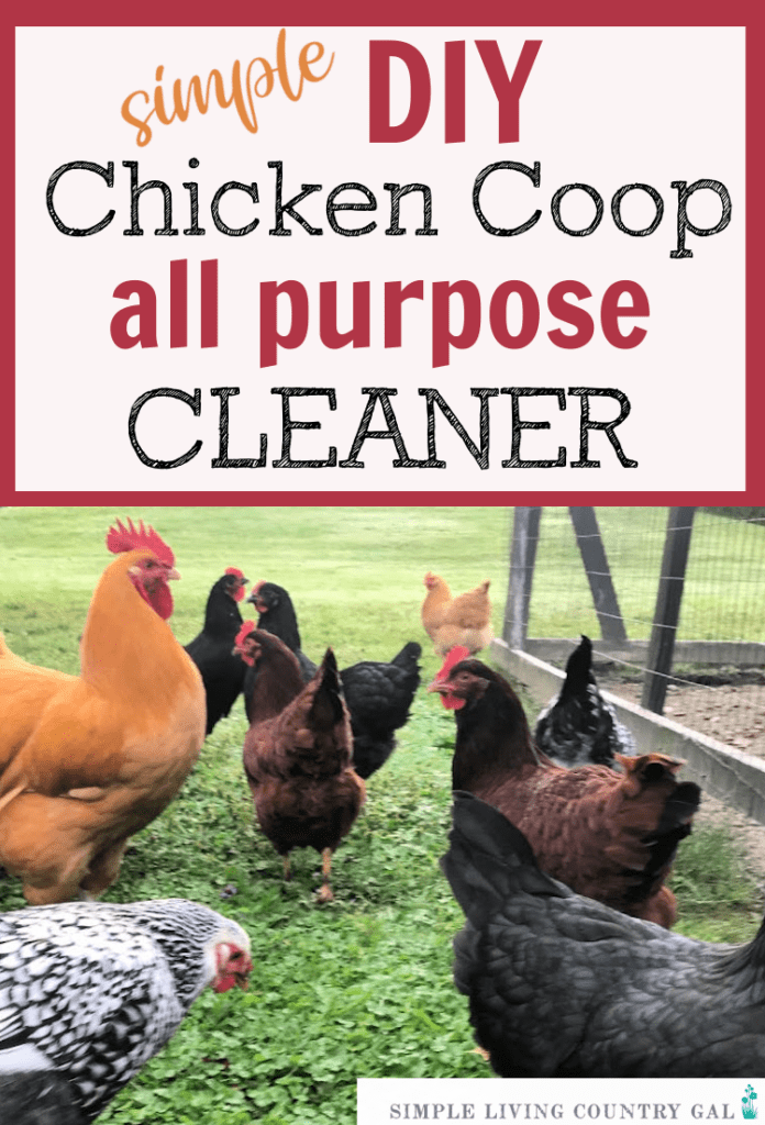 diy chicken coop all purpose cleaner (3)