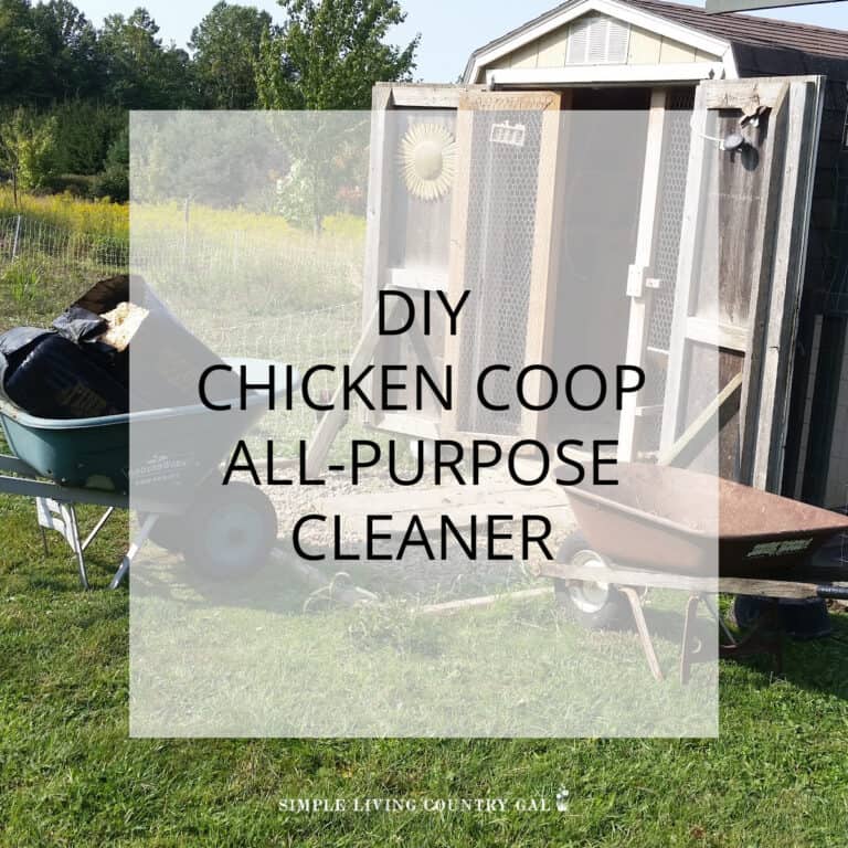 DIY Chicken Coop All-Purpose Cleaner