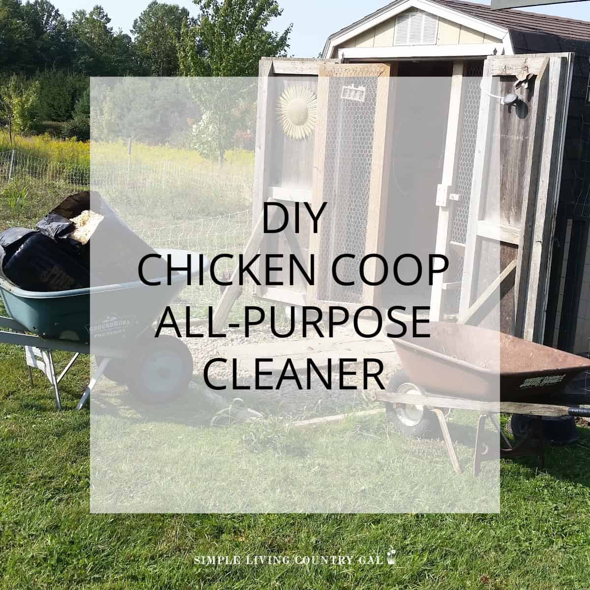 diy chicken coop cleaner