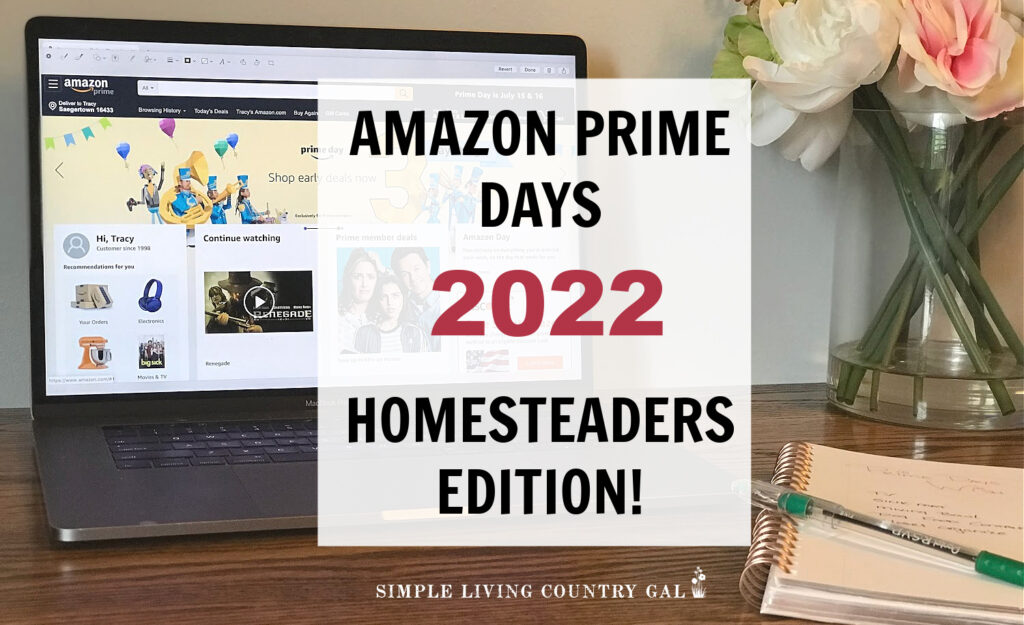 2022 Amazon Prime Days 