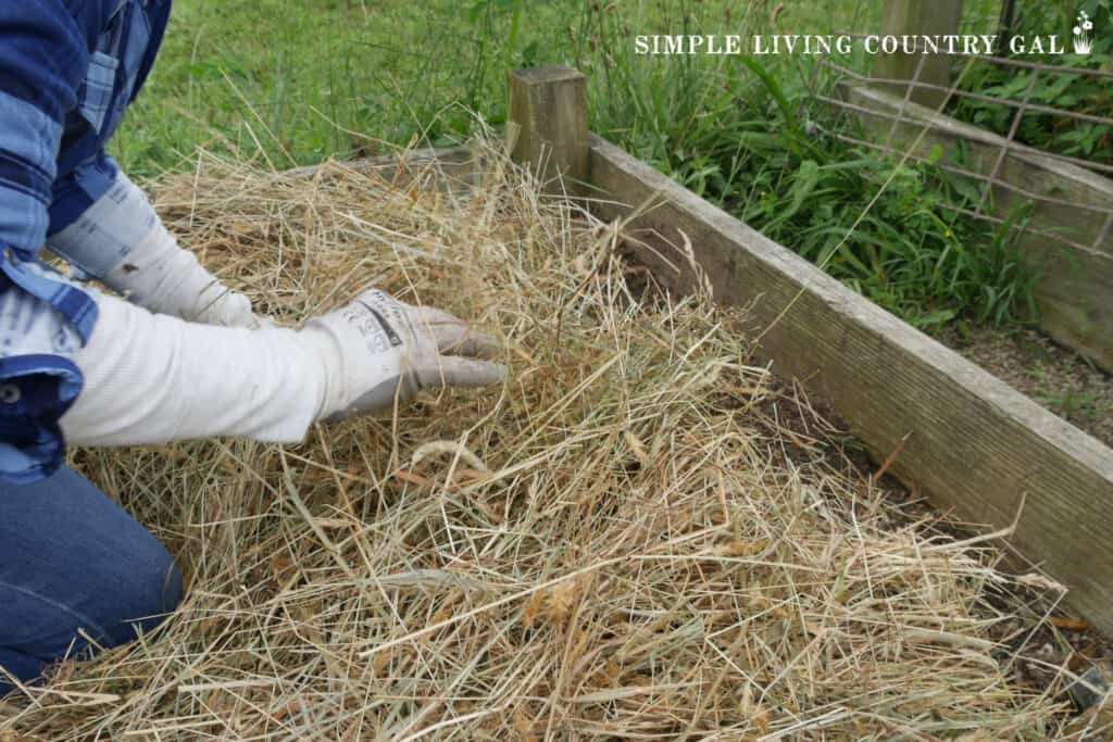 a set of hands mulching a garden bed with straw