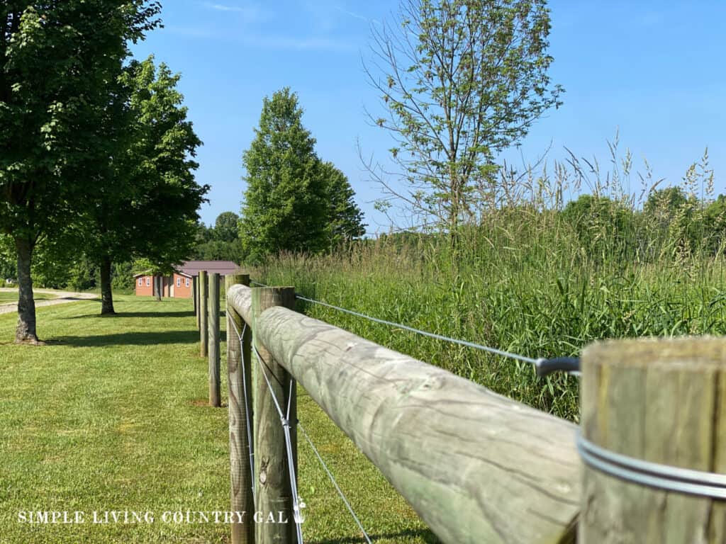 a wood fend and pasture boarded by trees