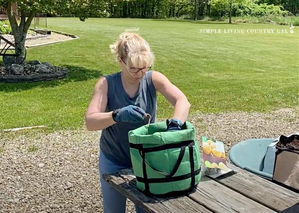 woman planting potatoes in a grow bag