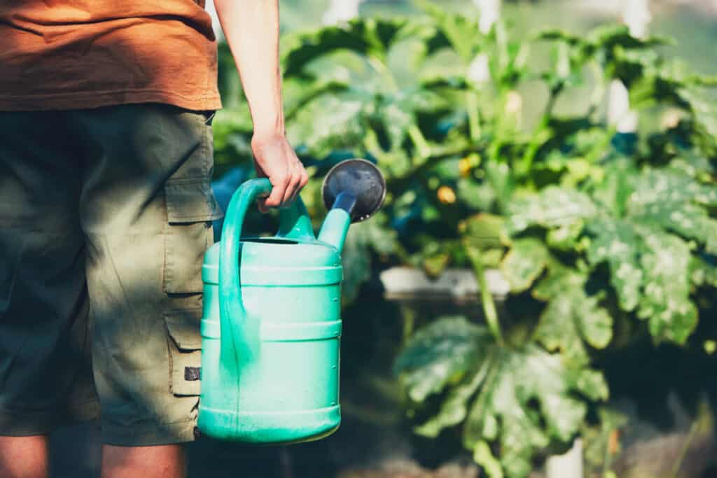 woman standing in front of a garden holding a watering can