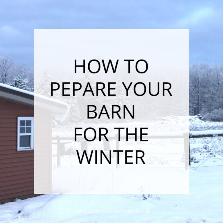 Barn Cleaning Winter Prep Step-by-Step