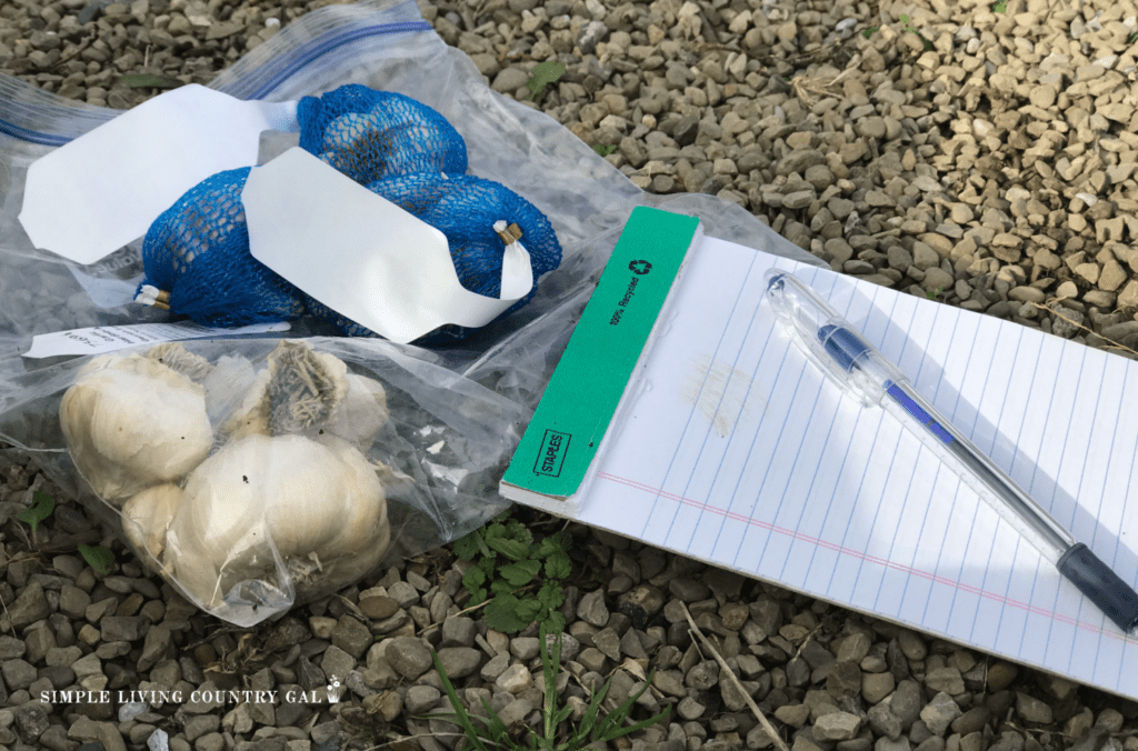 bag of garlic next to a pad of paper with a pen