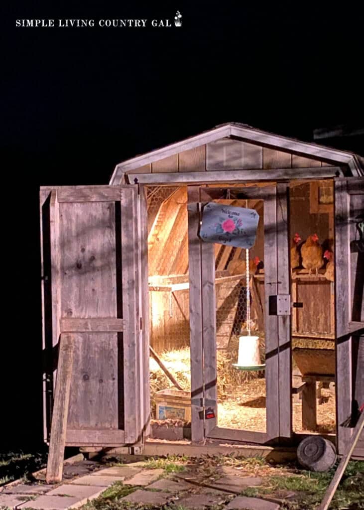 chickens on a roost in a coop at night