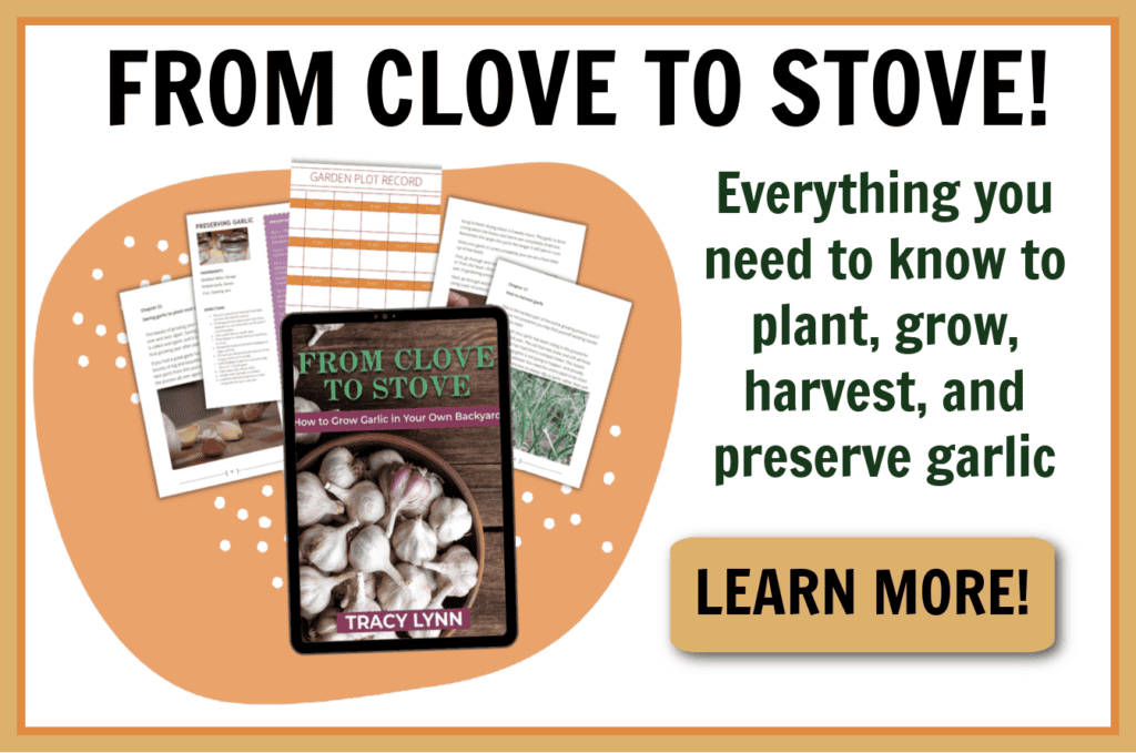a sales image showing an ebook about growing garlic
