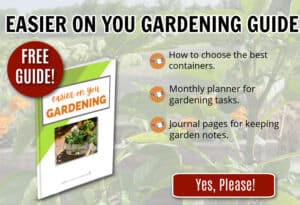 How to Start a Backyard Garden | Simple Living Country Gal
