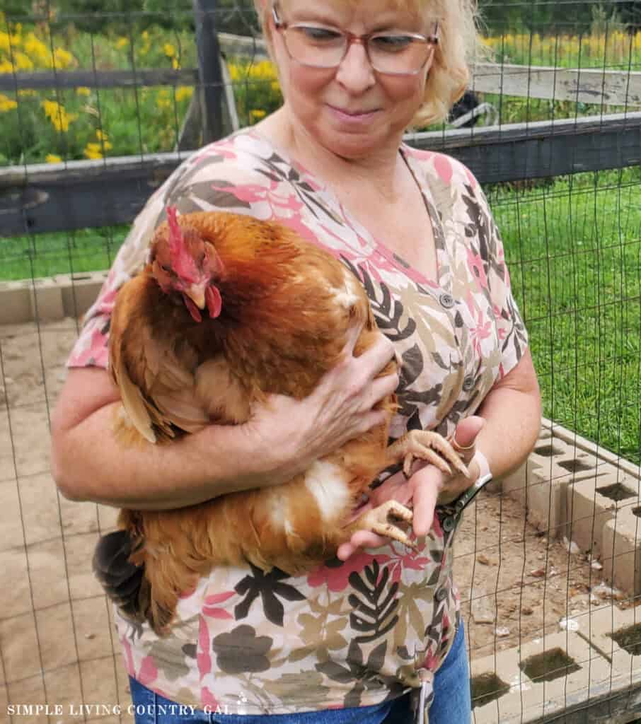 a woman holding a chicken in front of a run