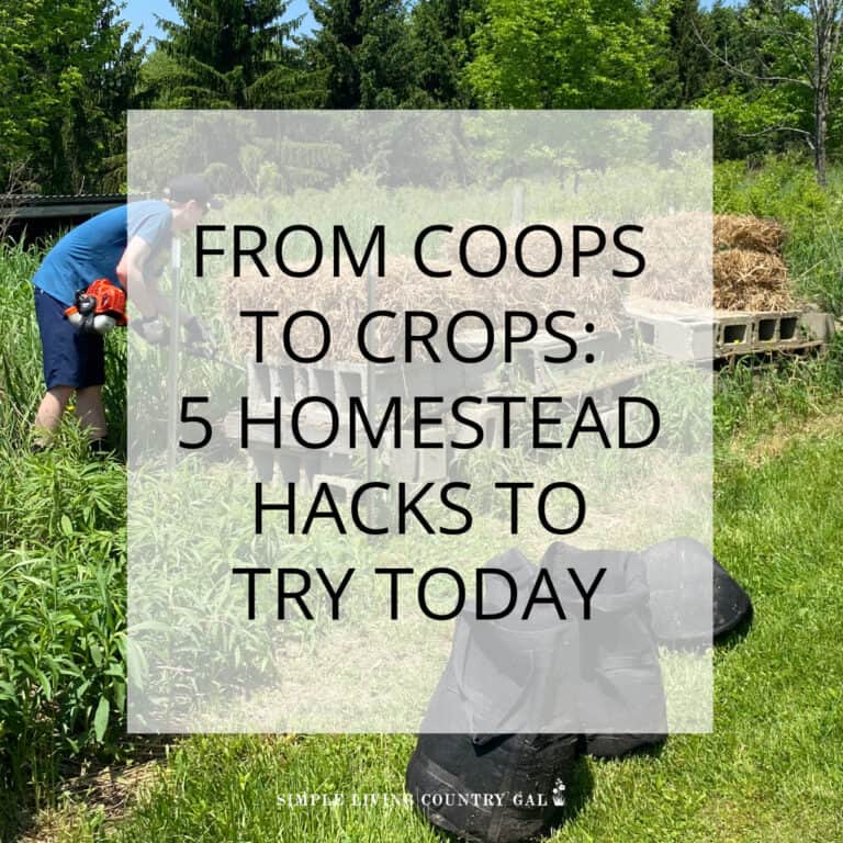 simple homestead tips