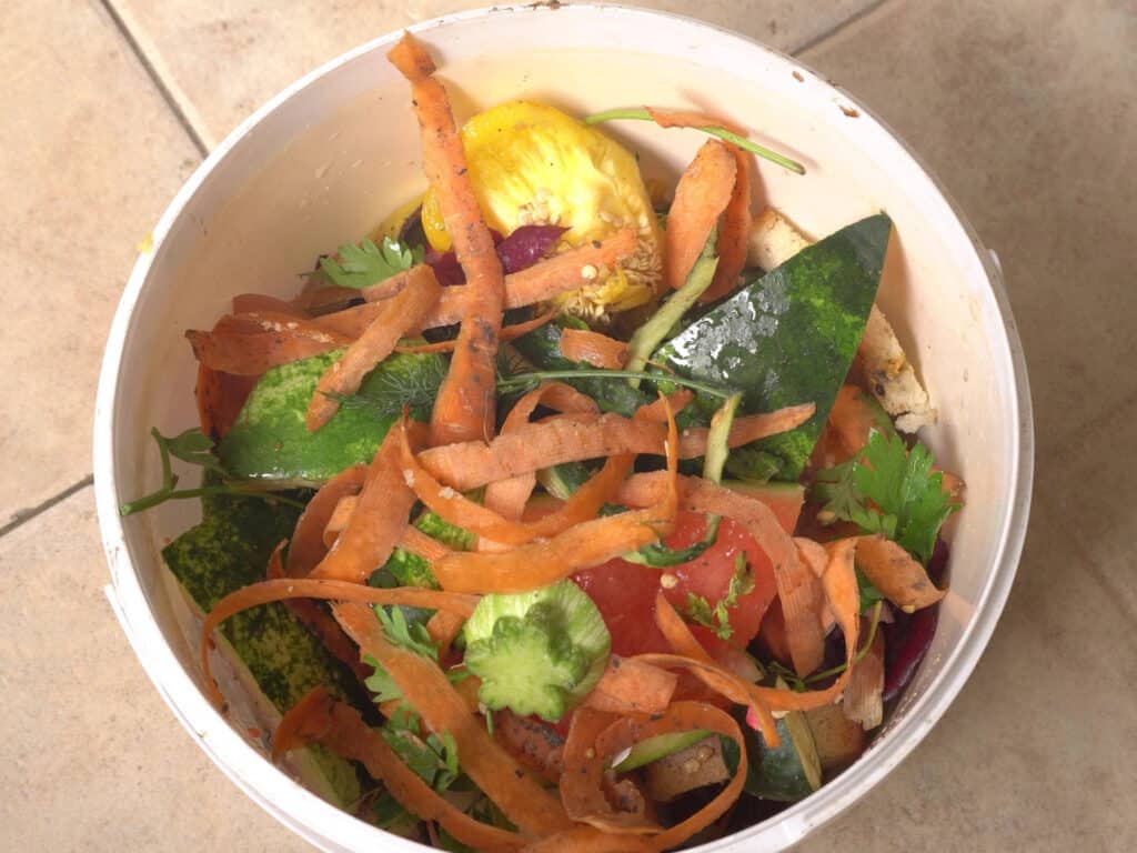 a bucket of kitchen scraps