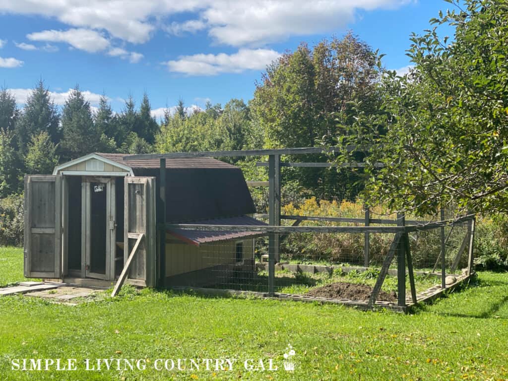 a chicken coop and chicken run