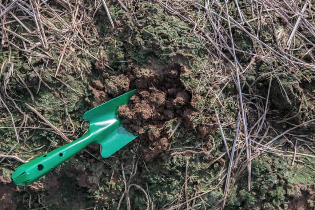 Green garden shovel and soil in the vegetable plot, agricultural equipment concept