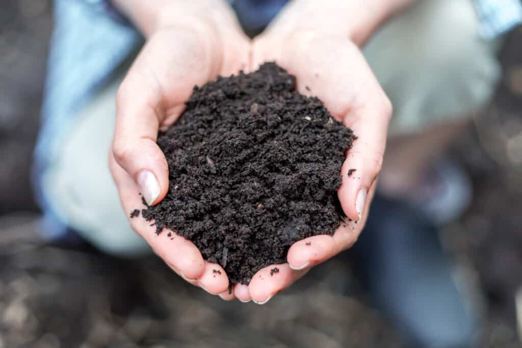 a pair of hands holding fresh organic compost