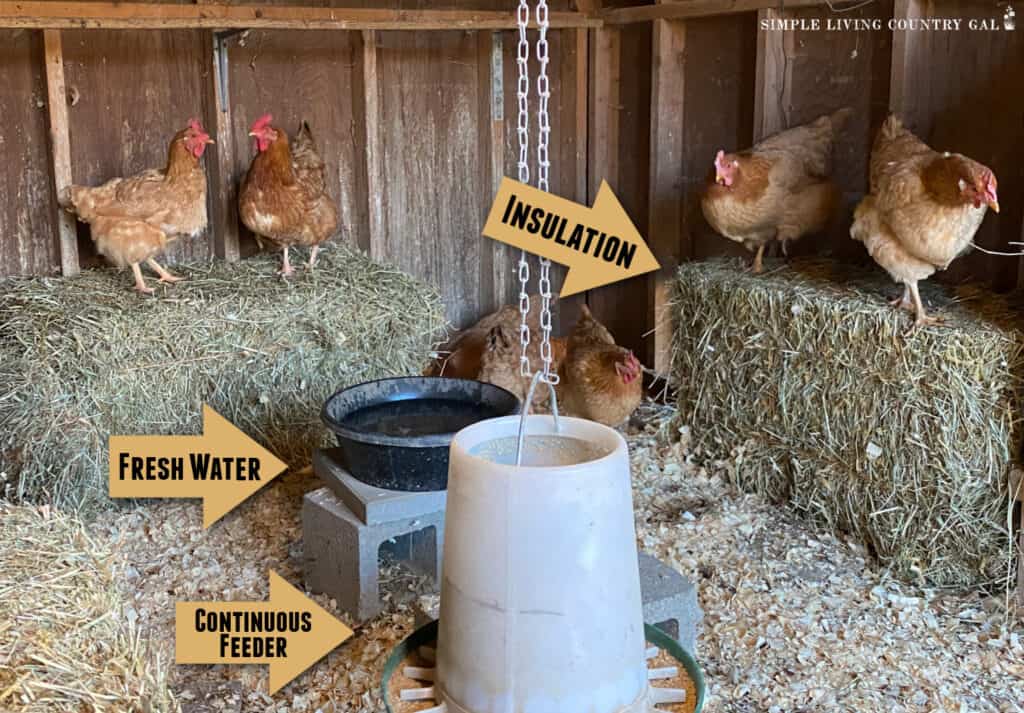 arrows pointing to key parts of a winter coop. Insulation, fresh water, and a continuous feeder
