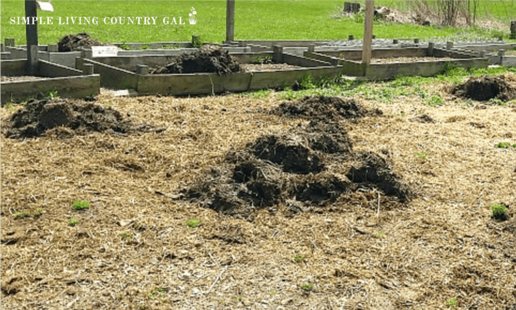 compost added in piles to a garden of clay soil