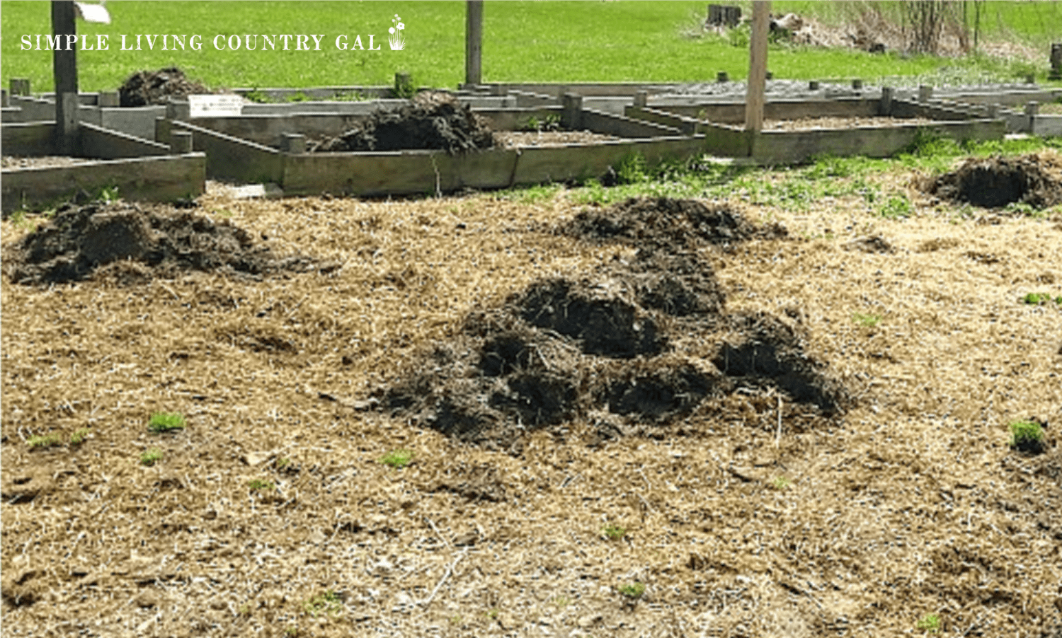 Improving Clay Soil Using Compost Simple Living Country Gal