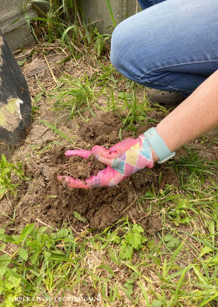 hands holding a lump of clay soil in a garden