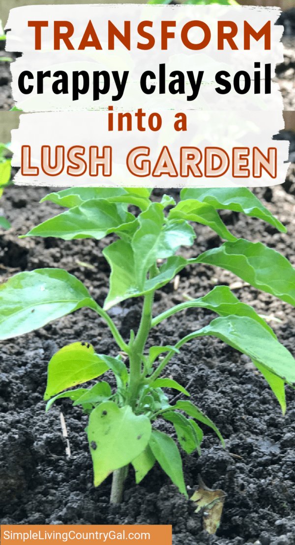 Improving Clay Soil Using Compost Simple Living Country Gal