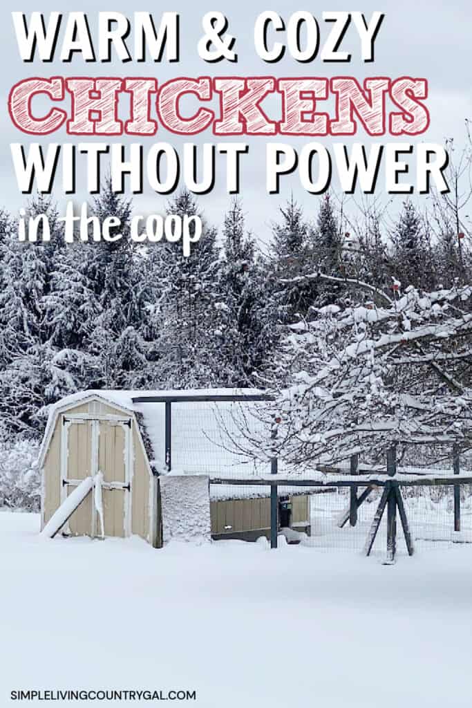 how to keep chickens warm in winter without electricity