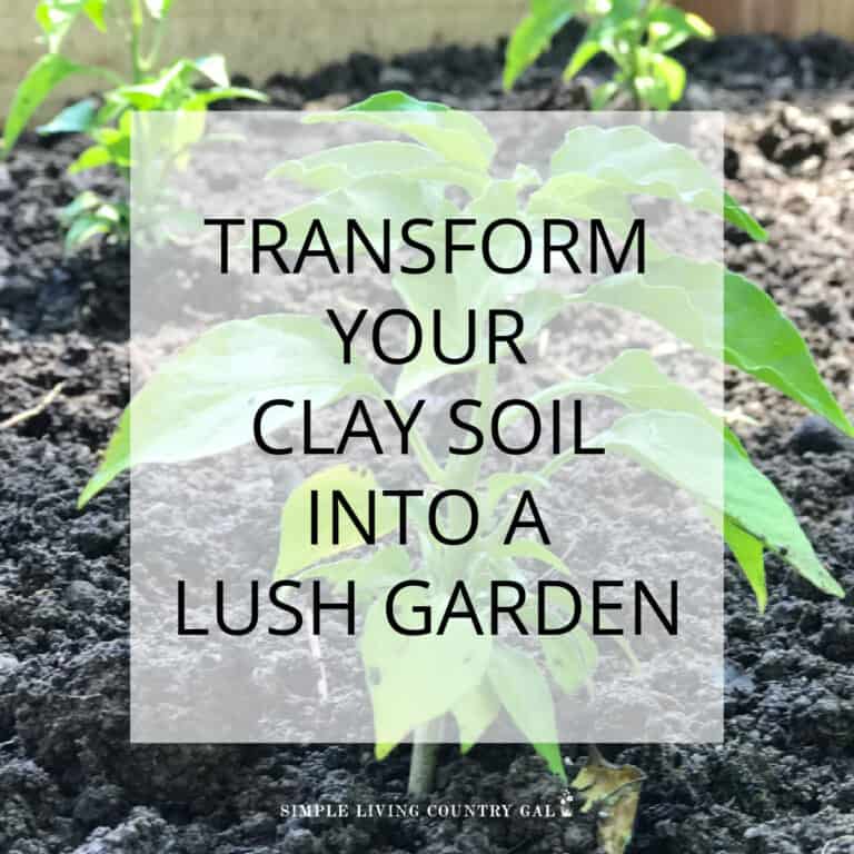Improving Clay Soil Using Compost