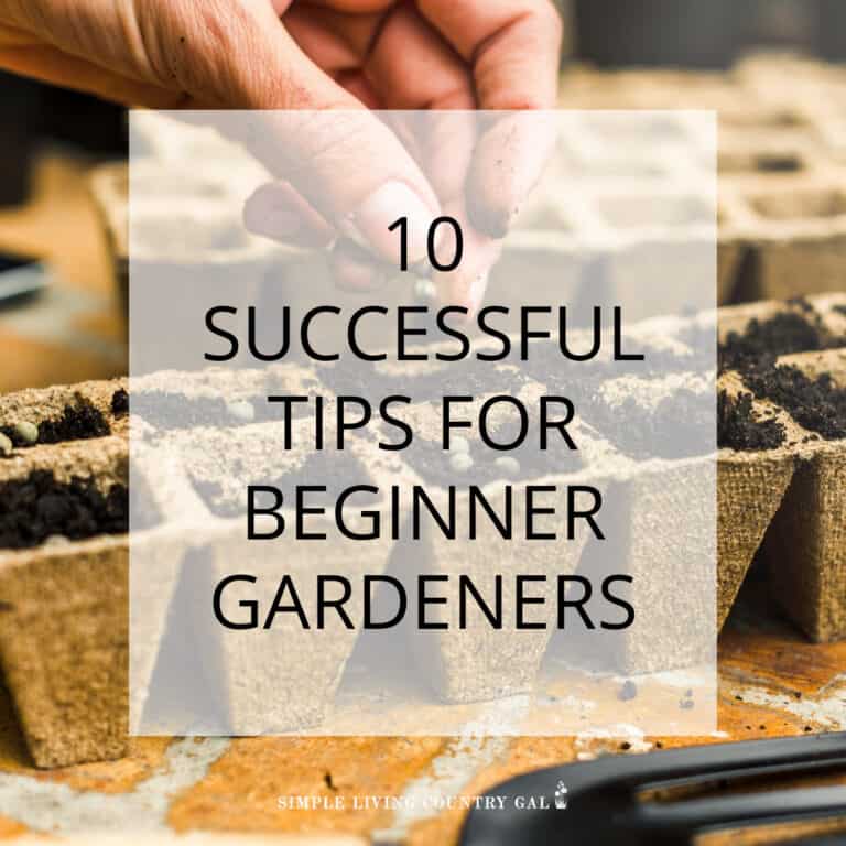 10 Tips for Beginner Gardeners