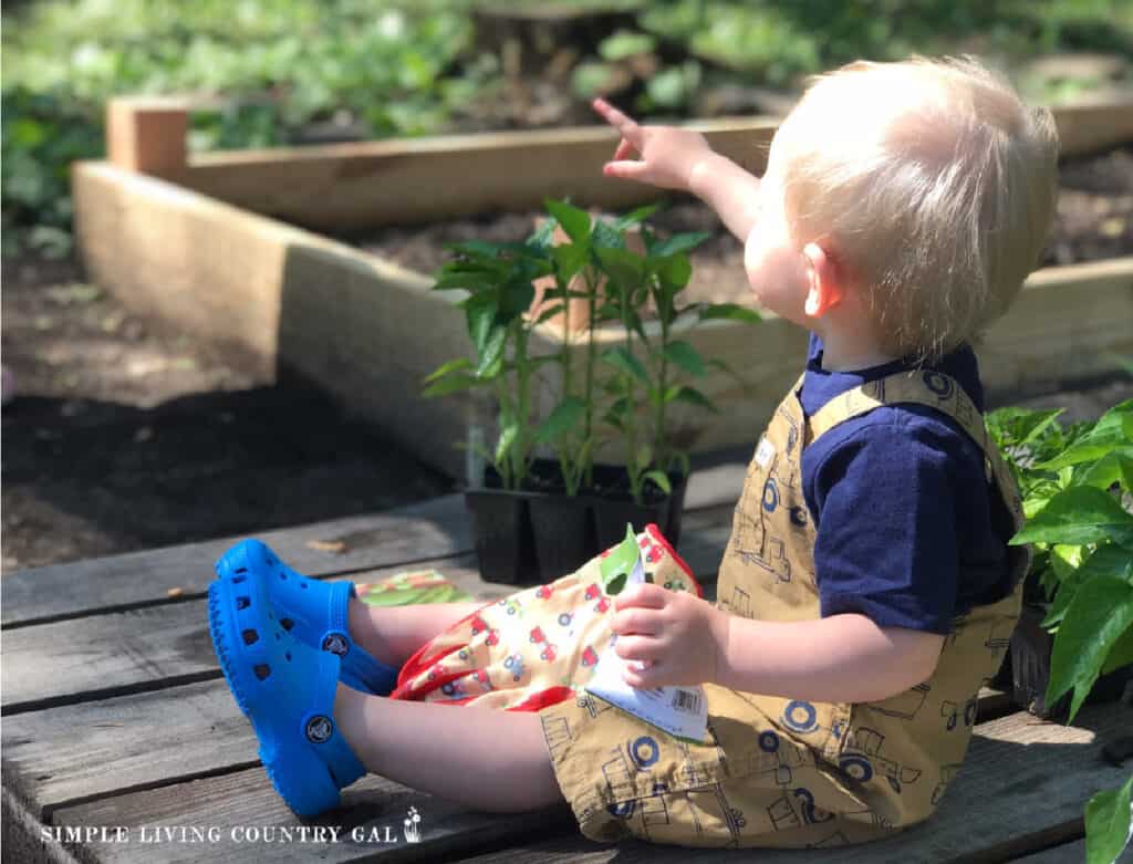 baby pointing to a garden bed holding seed packets