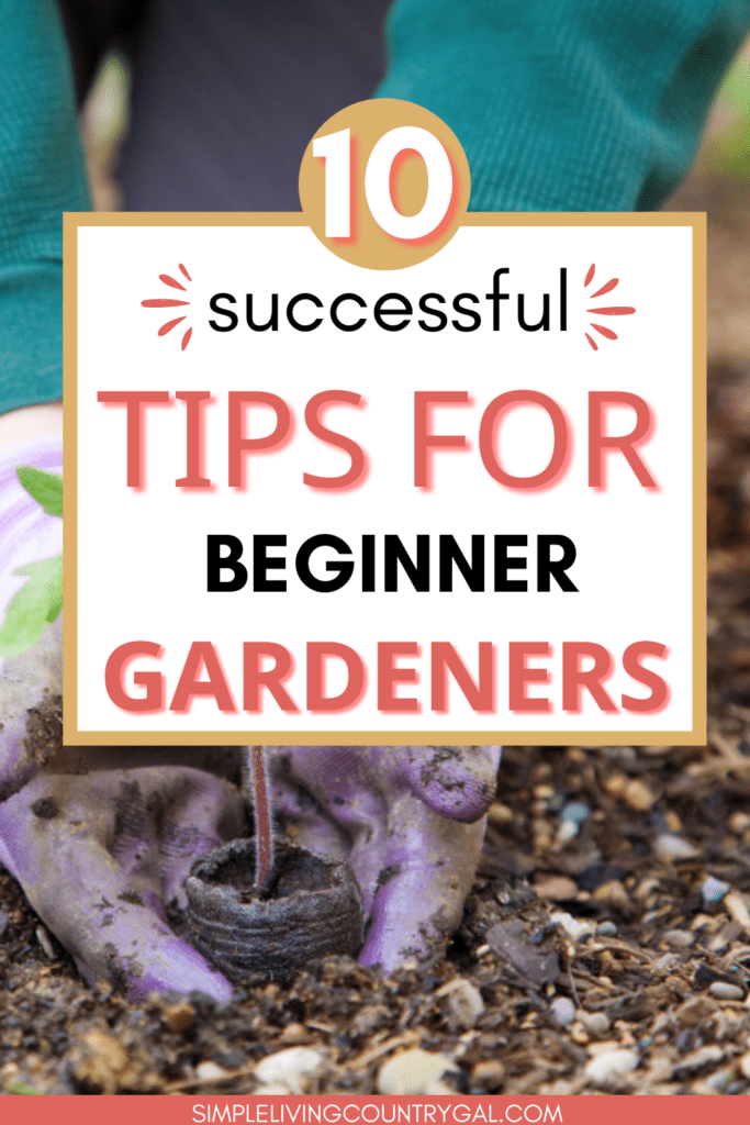 SUCCESSFUL TIPS FOR BEGINNER GARDENERS