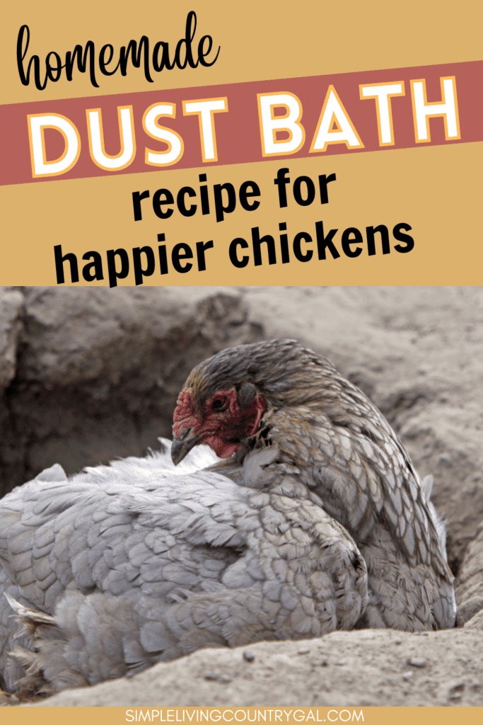 homemade chicken dust bath recipe
