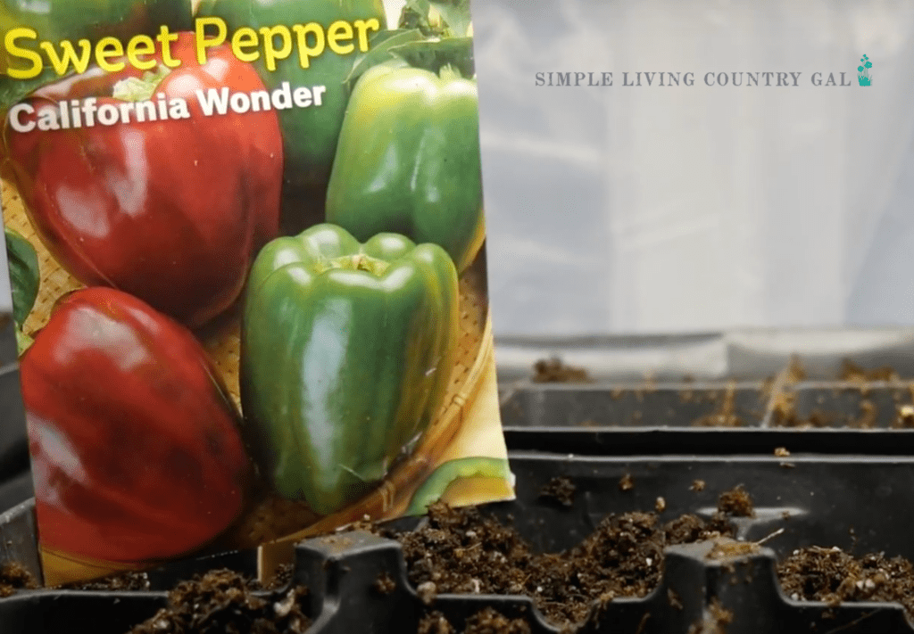 seed packet of bell peppers next to a planting tray