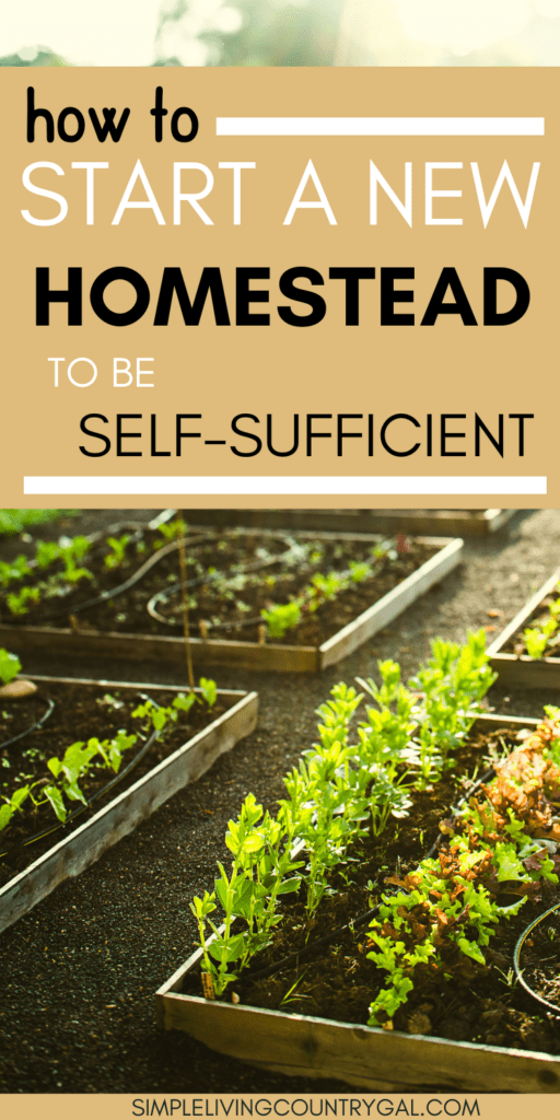 how to start a homestead