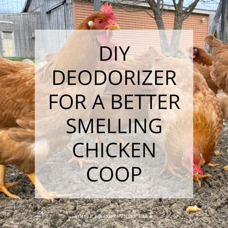 Homemade Chicken Coop Deodorizer