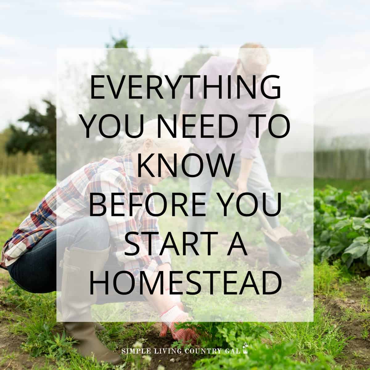 How to Start a Homestead | Simple Living Country Gal