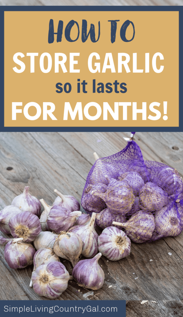 HOW TO STORE GARLIC