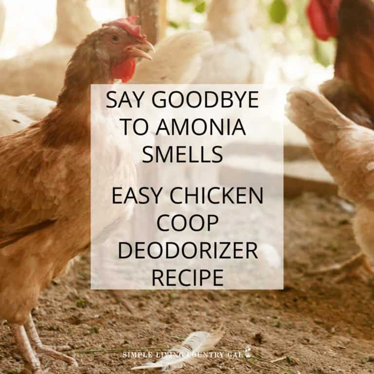 homemade chicken coop deodorizer