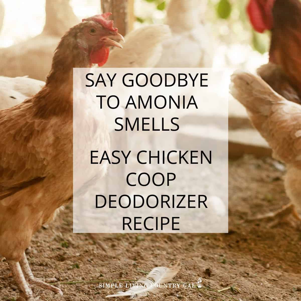 homemade chicken coop deodorizer