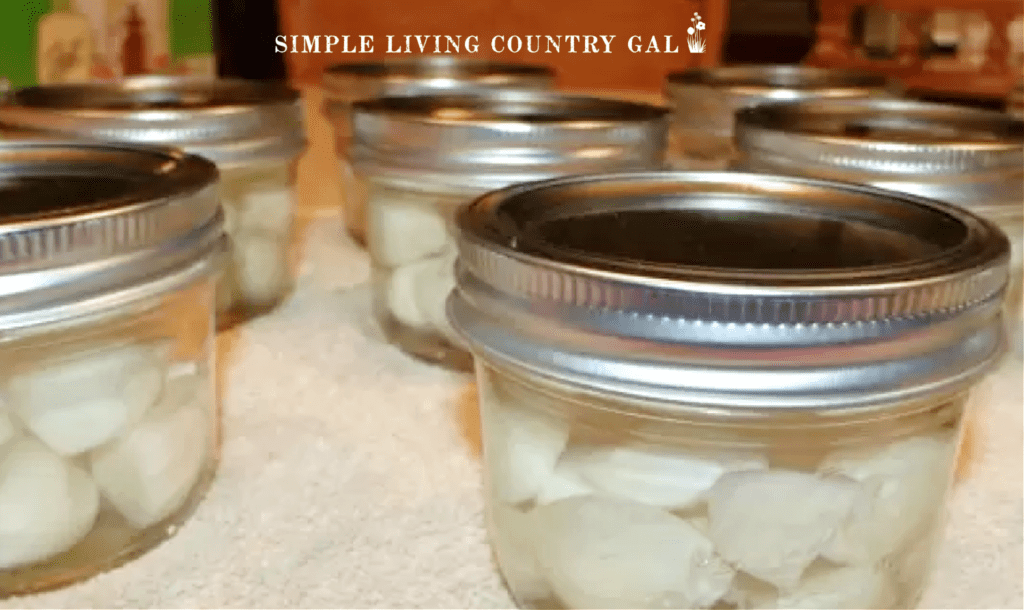 garlic cloves in small mason jars of vinegar